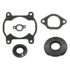 Комплект прокладок полный с сальниками Yamaha Bravo 250 1984-2011 09-711027A