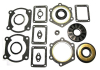 Комплект прокладок с сальниками Yamaha 09-711147D	