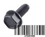 Болт M6 X 16 SCREW-FORMING HEX.HD.FL.GM6174M  210261680