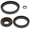 Сальники переднего редуктора для Kawasaki Suzuki 25-2066-5 41-4115