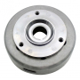 Магнето Volant moteur *flywheel, BRP 410922953