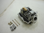 Rear Cylinder Head Ass'y  головка цилиндра 420613468