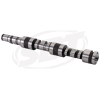 ARBRE A CAME   *CAMSHAFT  Распределительный вал 420837851