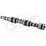 ARBRE A CAME   *CAMSHAFT  Распределительный вал 420837851