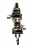 REBUILD-CRANKSHAFT 493 2000-02 420888462