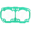 JOINT 0.6      *GASKET 0.6 420931892