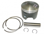 Поршень с кольцами PSTN RNG KIT, STBD 5006688