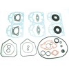Полный комплект прокладок с сальниками Ski-Doo Skandic/Summit 600-593cc 09-711259 Winderosa 711259 711259