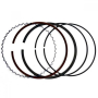 Поршневые кольца 1200/800/400cc Can-Am Outlander /Renegade /Commander /Maverick /Ski-Doo Expedition /MX Z /GSX /GRAND TOURING 420685244 /420685244 /420296774 PR98