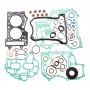 Комплект прокладок с сальниками Ski-Doo SPI SM-09508F 420686022, 420686020, 420686021